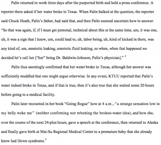 Illustration for article titled Did Sarah Palin Carry Out the Biggest Hoax in American Political History?